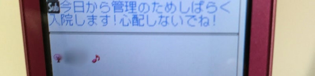 母の認知症介護日記／ワフウフ