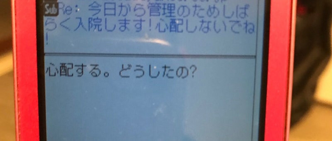 母の認知症介護日記/ワフウフ
