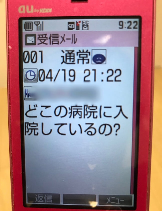 母の認知症介護日記/ワフウフ