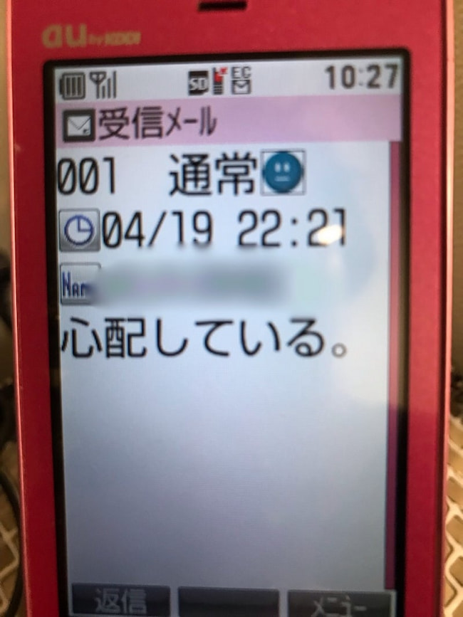 母の認知症介護日記/ワフウフ