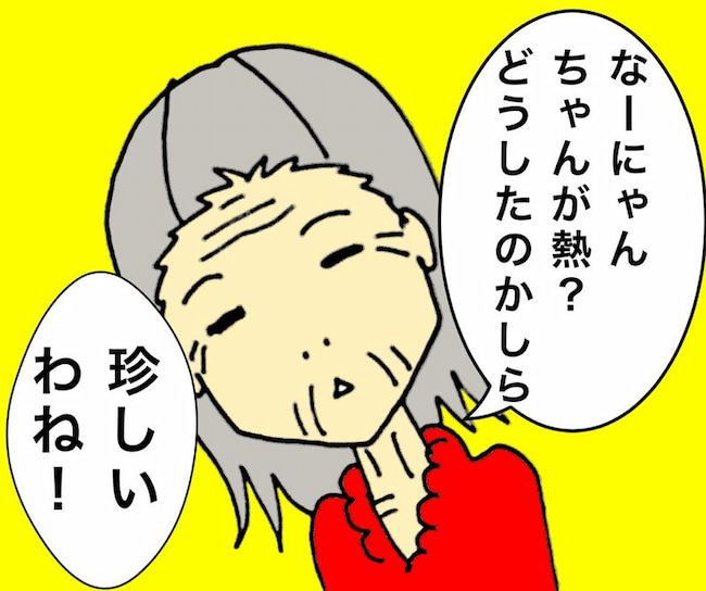 母の認知症介護日記/ワフウフ