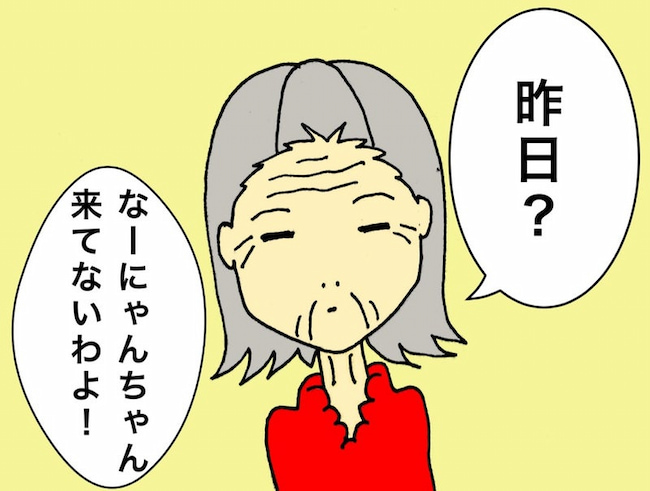 母の認知症介護日記/ワフウフ