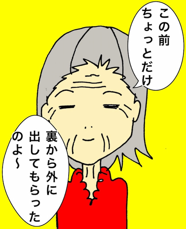 母の認知症介護日記/ワフウフ