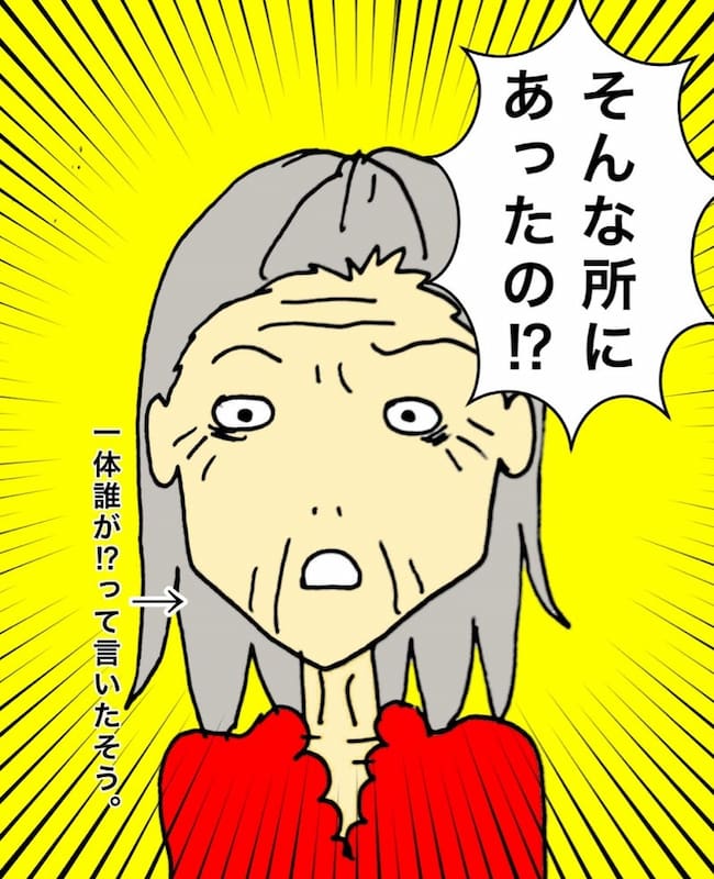 母の認知症介護日記／ワフウフ