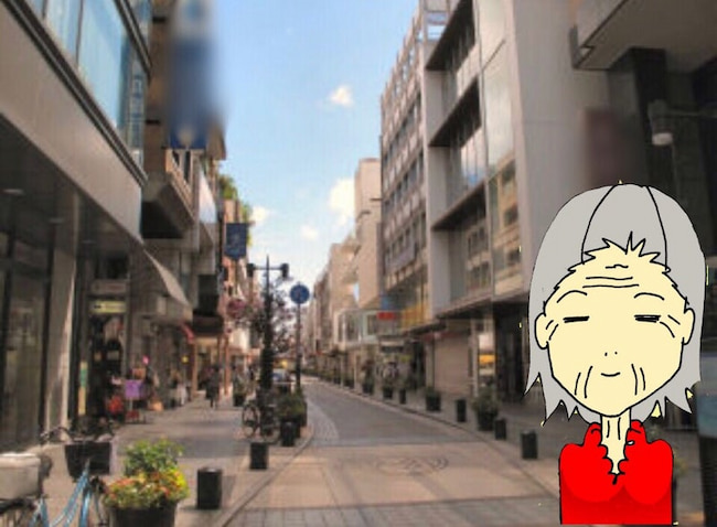 母の認知症介護日記/ワフウフ