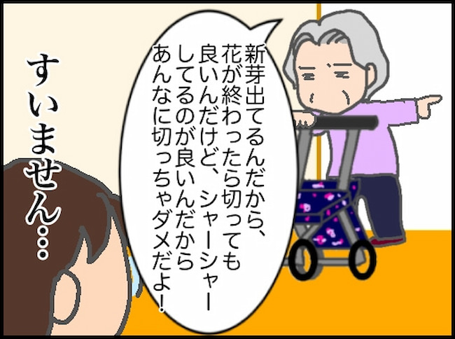 頑張り過ぎない介護/まる子