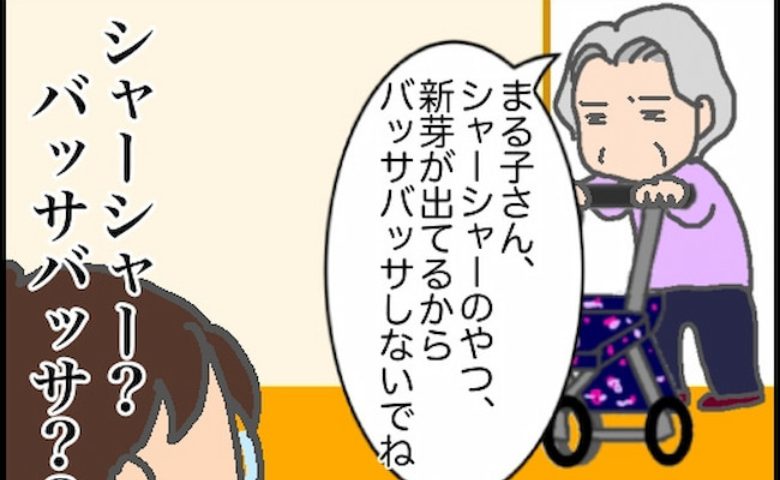 「シャーシャーのやつ、バッサバッサしないで」義母よ、まったく伝わらない#頑張り過ぎない介護 243