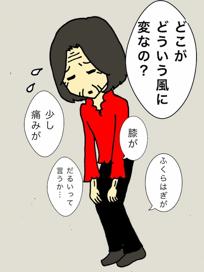 母の認知症介護日記／ワフウフ