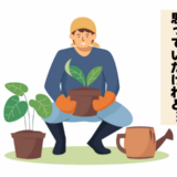 「孤独だと思っていたのに…」退職後に始めた趣味。孤独感が消え、心が満たされたワケ【体験談】