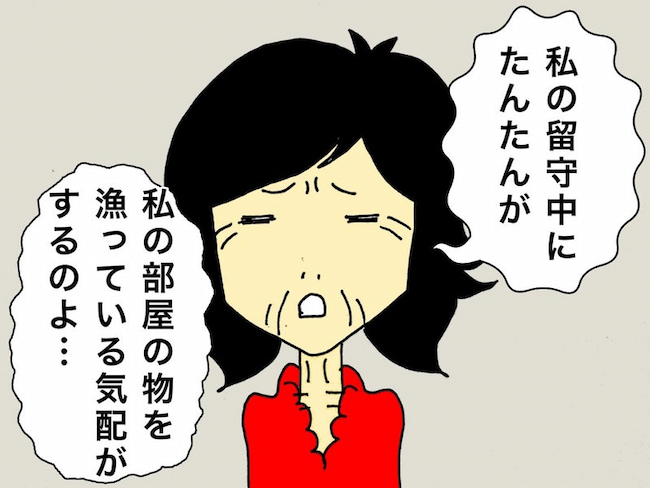 母の認知症介護日記/ワフウフ