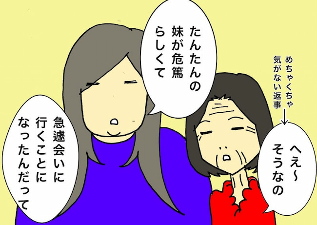 母の認知症介護日記／ワフウフ