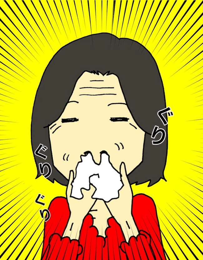 母の認知症介護日記／ワフウフ