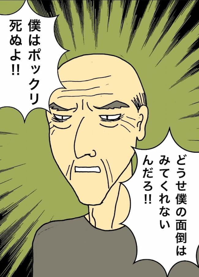 母の認知症介護日記／ワフウフ