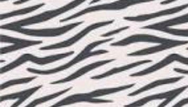 母の認知症介護日記／ワフウフ