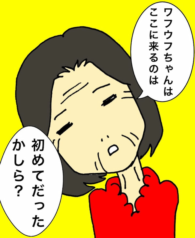 母の認知症介護日記／ワフウフ