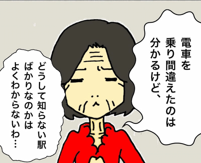 母の認知症介護日記/ワフウフ