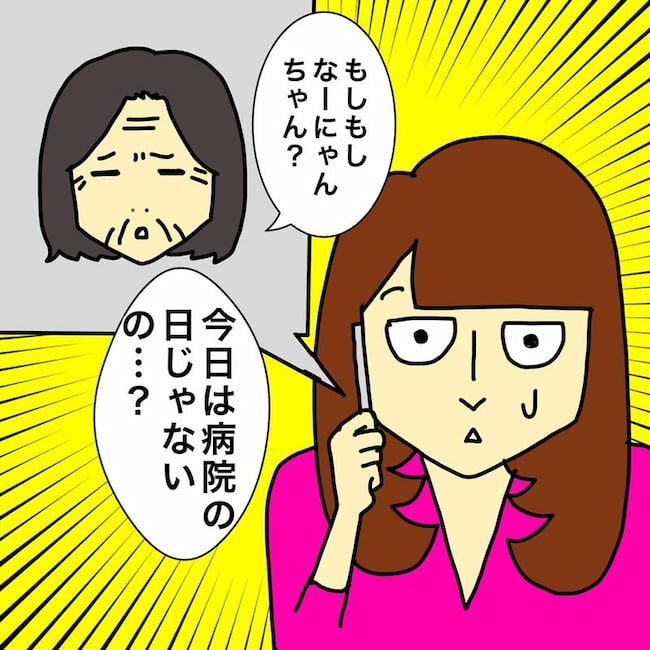 母の認知症介護日記/ワフウフ