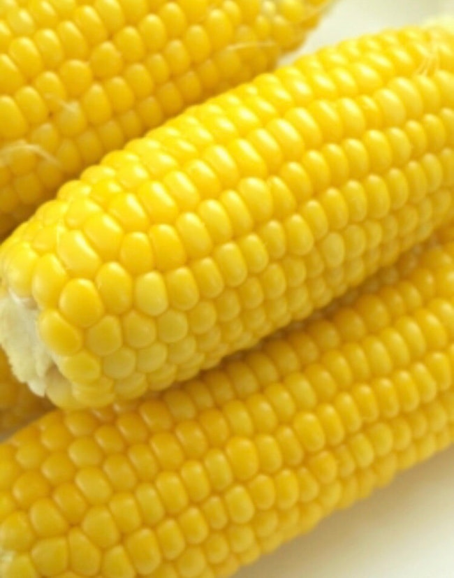 母の認知症介護日記／ワフウフ