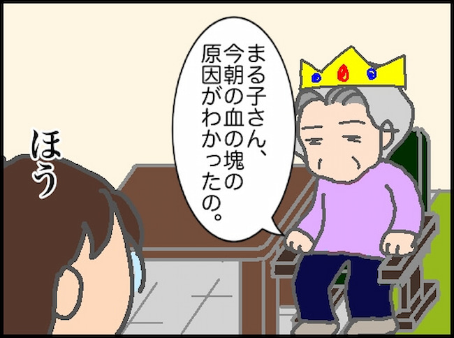頑張り過ぎない介護／まる子