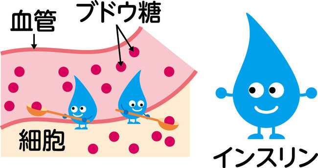健康診断の結果、机にしまっていませんか？医師が教える「境界型」という名のラストチャンス【医師コラム】