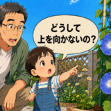 「どうして上を向かないの？」孫の純粋な質問から教わった日常の景色に潜む新たな発見【体験談】