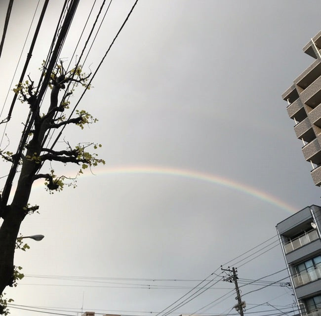 母の認知症介護日記/ワフウフ