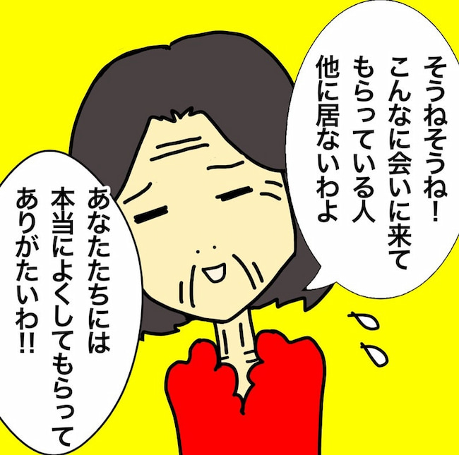 母の認知症介護日記/ワフウフ