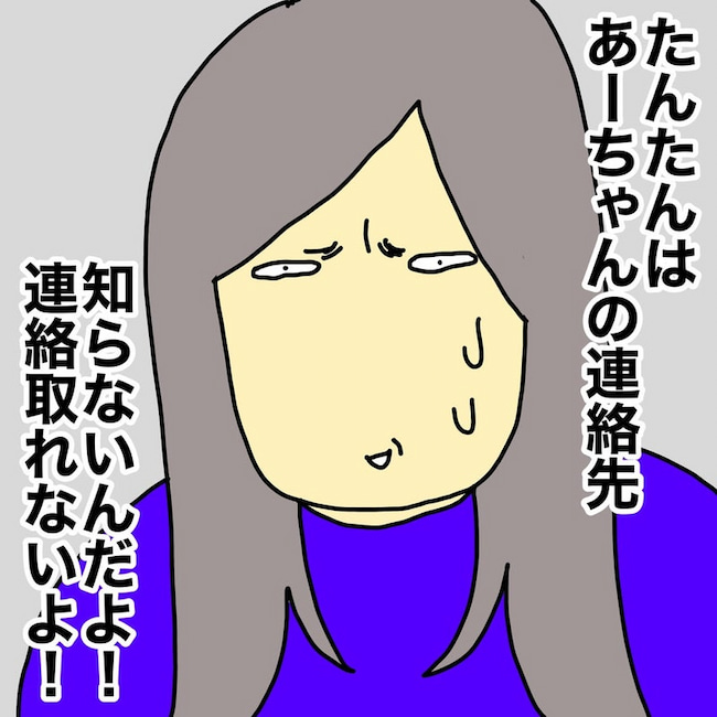 母の認知症介護日記／ワフウフ