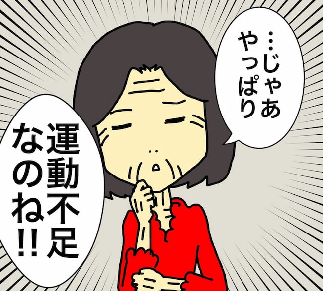 母の認知症介護日記/ワフウフ