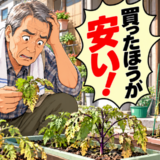 「買ったほうが安い」家族に言われた家庭菜園。定年後の暇つぶしで始めた私が続けられたワケ【体験談】