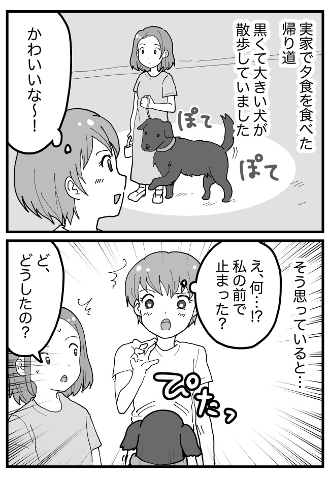 「えっ…何！？」散歩中の大きな犬が私に近づいてきて…次の瞬間、驚きの行動に！？