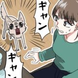 「ギャン！ギャン！」義実家の犬から歓迎されない結婚あいさつ！？→犬が吠えていた本当の理由は