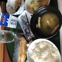 産科・婦人科