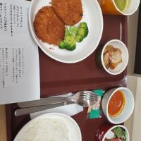 産科・婦人科