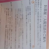 産科・婦人科