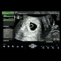 しょうこさんのフォト