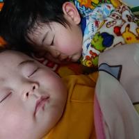 つむきはるさんのフォト