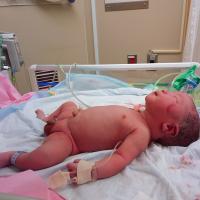 おうちゃんさんのフォト