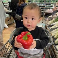 あおちゃんさんのフォト