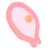 妊娠4週(妊娠2カ月)【医師監修】赤ちゃんの成長、ママの体の変化・症状・注意点