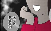 子「捨てちゃうの！？」母「できるものなら…」引越しで猫を邪魔者扱い！？飼い主の自己中すぎる本性 #飼えなくなった猫を押し付けるママ友 7