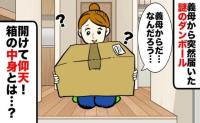 「でかっ！」義母から突然、巨大な段ボールが到着…何も聞いてないけど？→中身を確認して固まったワケ
