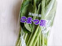 【小松菜と卵があったらこれ作って！】家計のお助けレシピ「小松菜の黒い点々についても解説！