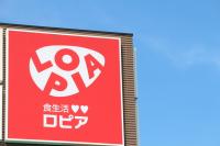 うおおお、お店の味じゃんか！【ロピア】税込429円「高級焼肉屋クオリティ」名品！「クセになる」