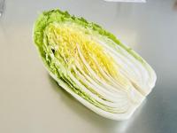 白菜とツナ缶あったらコレ作って！【和田明日香さんってやっぱ天才！】めちゃウマな食べ方！