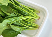 【ほうれん草、レンチンしないで〜！？】農林水産省がバッサリ断言「意外と知らない“基本”」