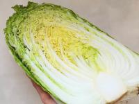 【白菜、こんな洗い方しないで！？】"スーパー青果部"の警告に「ぎくり」「これからは気をつける！」