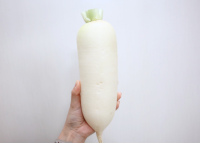 【こんな大根、買ったらソン！？】青果のプロが警告！正しい保存法も→「一生覚えておきます！」