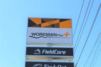 実は店舗でしか買えない！【ワークマン】「2,500円は安すぎ」神コスパシューズ