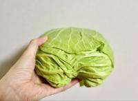 【お願い、キャベツは切らないで！？】"農林水産省"も忠告『2週間長持ち』ここ見て選んで！